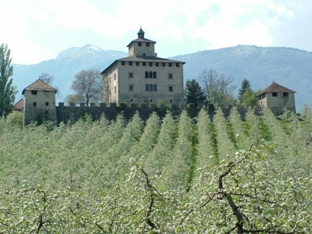 Appartamento A Spinazzeda Cuore Di 斯尔斯 外观 照片